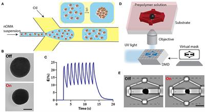Investigating Tissue Mechanics in vitro Using Untethered Soft Robotic Microdevices